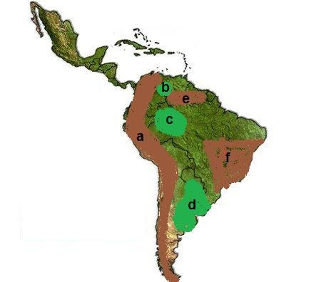 Großlandschaften Lateinamerikas
