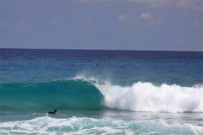 Surfing in Cabarete. Quelle: ...