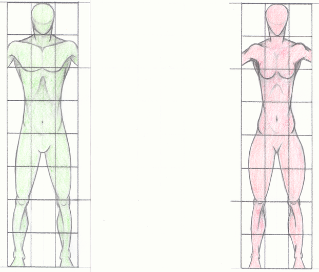 Zeichnen lernen - Körperproportionen