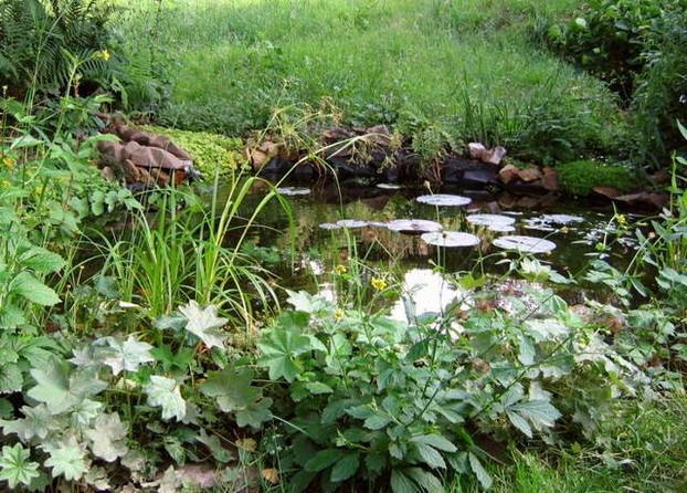 Unser Teich - Der Ruhepol im Garten