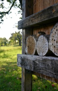 "Mehrfamilienhaus" für Wildbienen