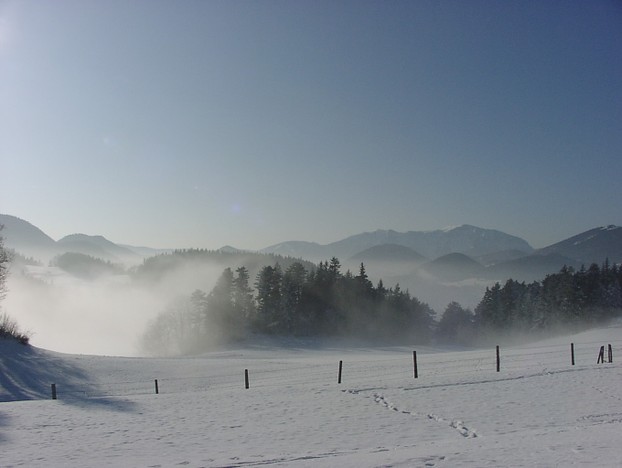 Nebel und Frost