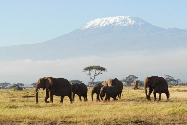 Blick auf den Kilimanro
