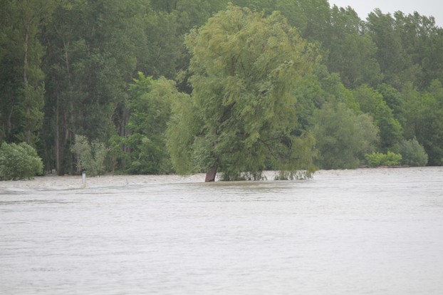 Donauhochwasser bei Krems