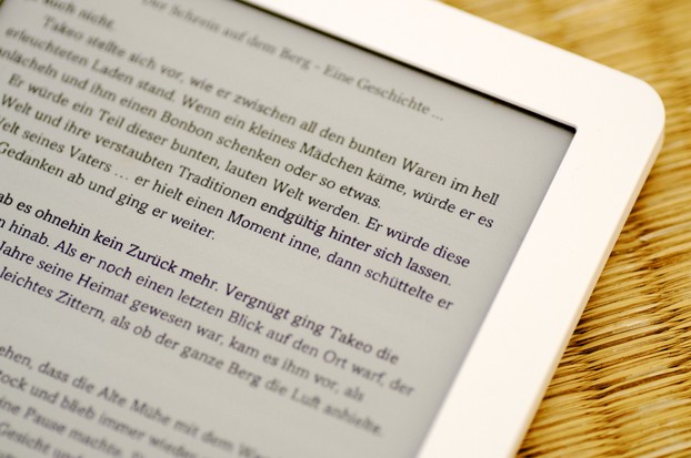 Display eines E-Book Readers