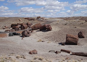 Petrified Forest National Park in ...