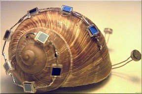 Snail-Bot - solarenergiegespeister B.E.A.M.-Roboter