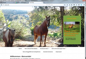 Wordpress-Homepage