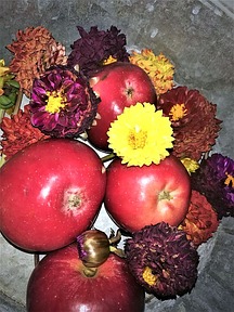 Äpfel und Herbstblumen