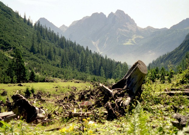 Kälbertal - Blick Lechtaler Alpen 