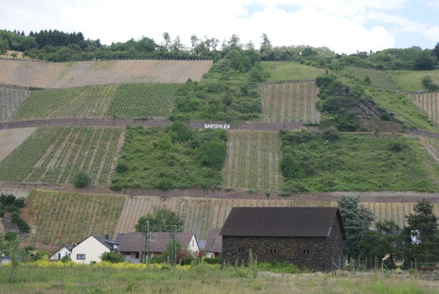 Anbaugebiet Mittelrhein