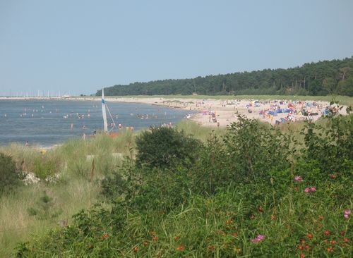Ein Strand an der Ostsee