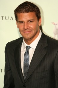 David Boreanaz