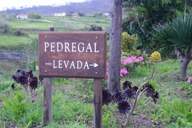 Levada Pedregal