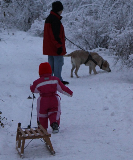 Lucy beim Hundespaziergang im Winter