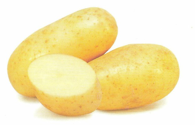 Kartoffel mit heller Schale