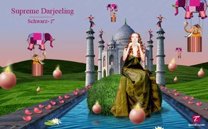 Darjeeling für die Teemaschine Special.T