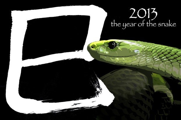2013 - das Jahr der Schlange