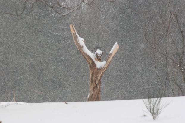 Jesus von Tribama im Schneesturm