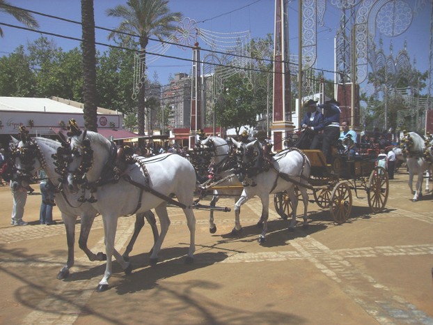 Pferdekutsche auf Feria