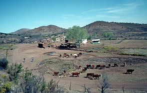 Ranch im Wilden Westen