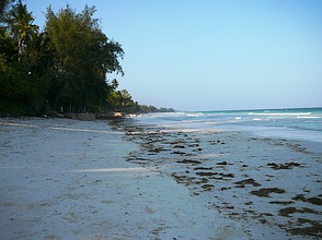 Diani Beach