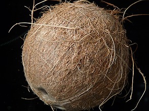 Kokosnuss im Supermarkt
