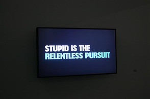 Elaine Sturtevant: Be Stupid ...