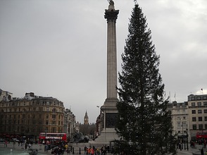 Weihnachtsbaum am Trafalgar Square