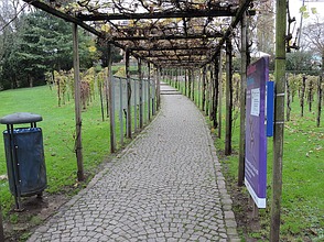 Weinlehrpfad im Colombipark