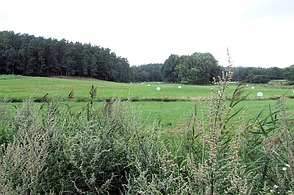 Quellgebiet der Havel bei Ankershagen