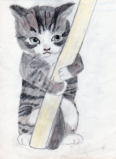 Katze, Zeichnung