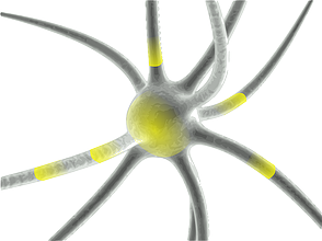 Nervenzelle mit Synapsen