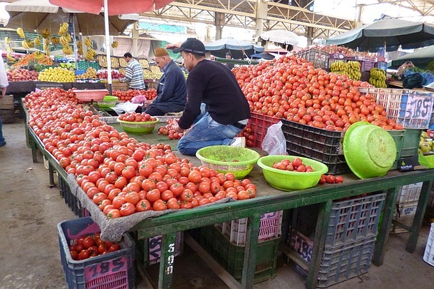 Den französischen Markt für Tomaten ...