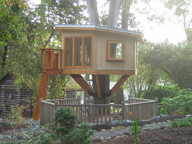 Modern Tree house