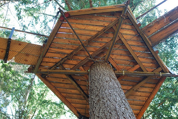 Treehouse platform from the ground