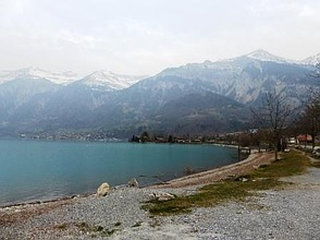 Brinzer See