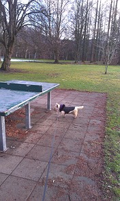Charlotte spielt im Park mit mir ...