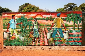 Landwirtschaft in Burkina Faso