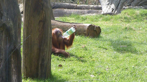Durst? Zoo Dortmund