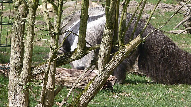Versteckt Zoo Dortmund