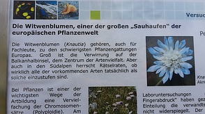 Bildtafel der Botanik Innsbruck ...