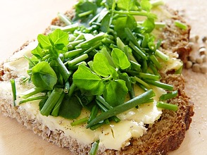 Microgreens als gesunder Brotbelag