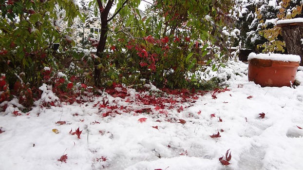 rote Tropfen im Schnee