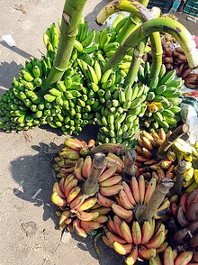 Marktplatz - Bananen