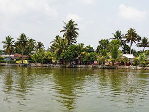 Pallathuruthy Backwaters