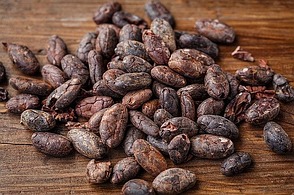 Kakaobohnen enthalten große Mengen ...