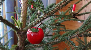 Weihnachts-Apfel