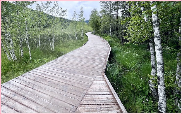 Tour Seefeld Wildsee Seekirchl Pfarrhügel Tirol