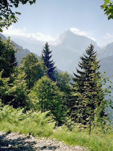 Savoyen Samoens Aouille de Criou Montblanc-Blick Frankreich Wander-Tour primapage